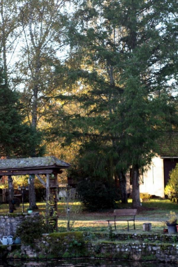 Weir Cottage Balledent エクステリア 写真