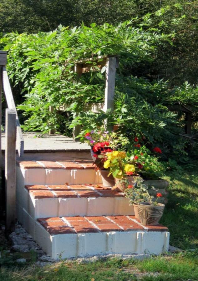 Weir Cottage Balledent エクステリア 写真